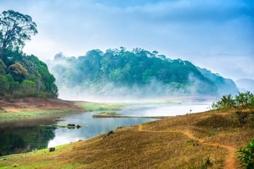 Periyar National Park in India