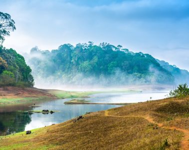 Periyar National Park in India