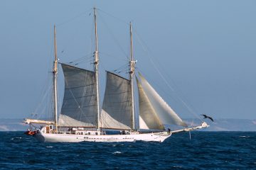 A sailing boat at sea