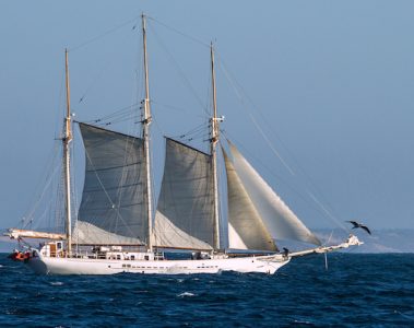 A sailing boat at sea
