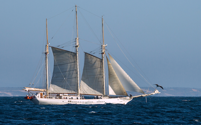 A sailing boat at sea