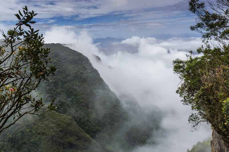 Silent Valley National Park in India