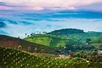 The Western Ghats, India