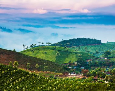 The Western Ghats, India