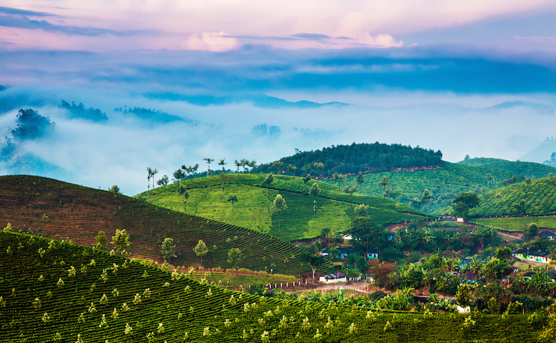 The Western Ghats, India