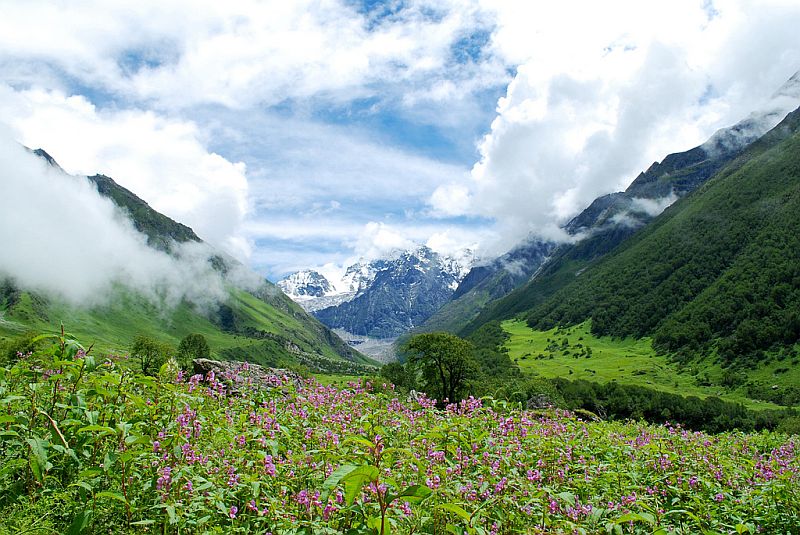 Valley of Flowers, Garhwal, India