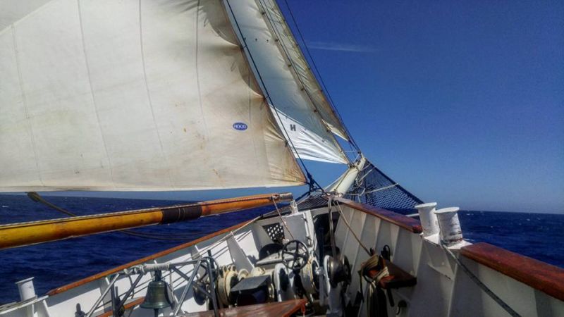 View from tall ship