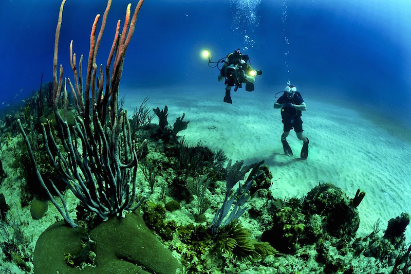 Diving in Italy