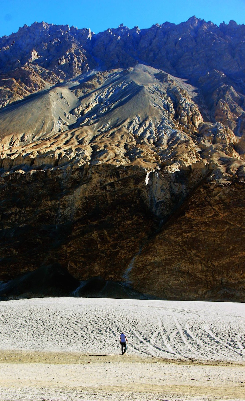 Hiking in the Himalayas