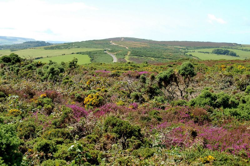 Exmoor National Park