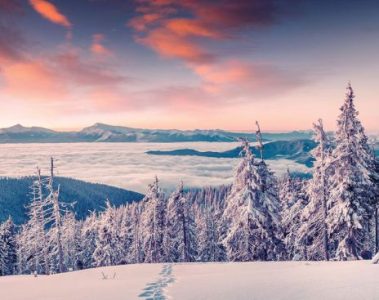 Arctic Adventure Parkinson's UK