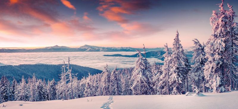Arctic Adventure Parkinson's UK
