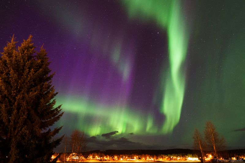 Northern Lights best things to do in Sweden