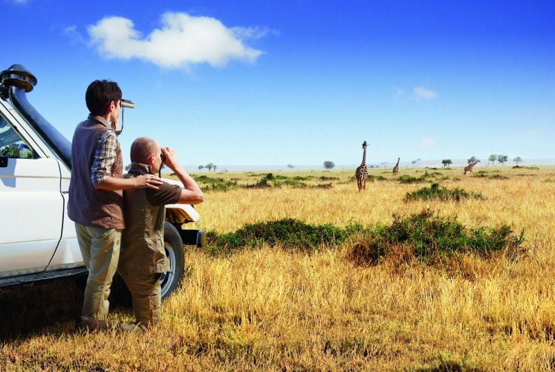 Safari Africa binoculars wildlife experiences