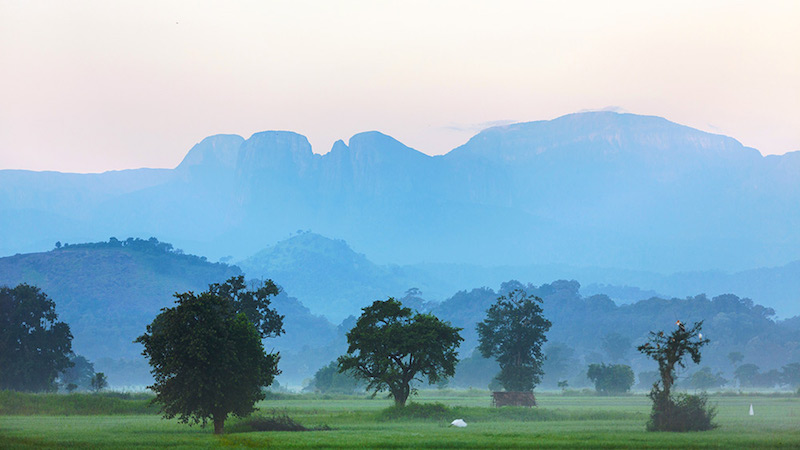 trekking in knuckles in Sri Lanka