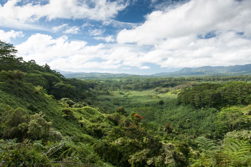 Kuilau Ridge, Hawaii - best ridge walks