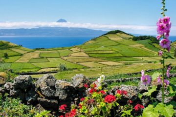 42, Sao Miguel - View to Pico in the azores