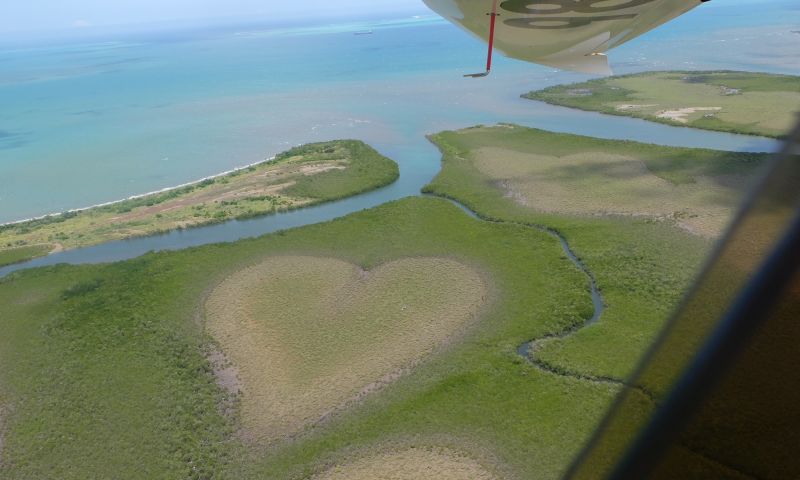 New Caledonia Heart plane