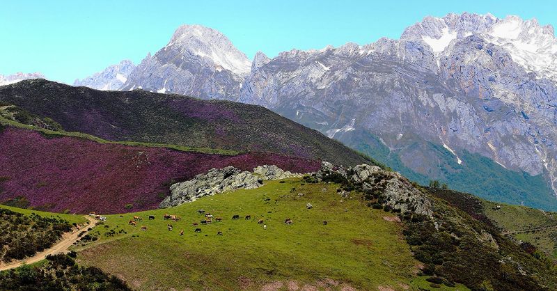 picos de europa - beautiful places to go hiking in europe