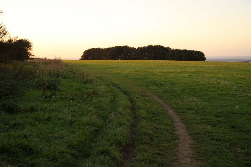 sunrise on the ridgeway - best night walks