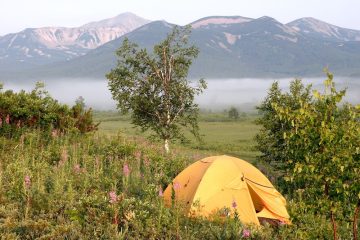 wild camping in summer