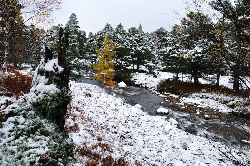 iron bridge walk in cairngorms - best winter UK walking routes