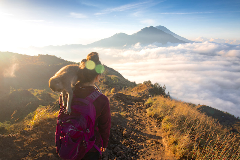 Sneeuwstorm Vochtig plaag Osprey Flare 22 Daypack review - Wired For Adventure