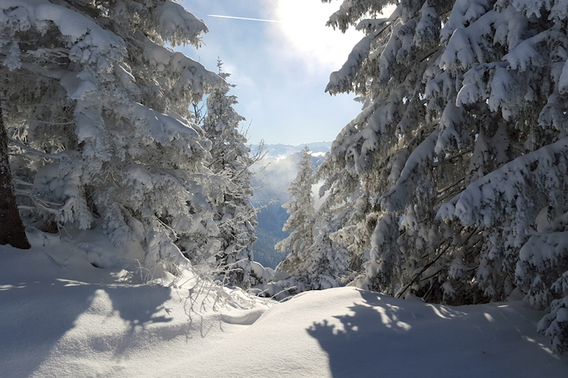 snow shoe in a winter wonderland in Bavaria