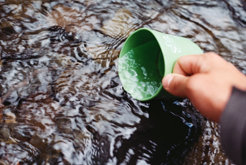 Survival skills finding water and purifying it