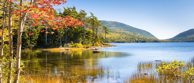 best adventure cruises bar harbour maine