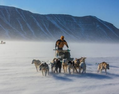 book review for polar eskimo