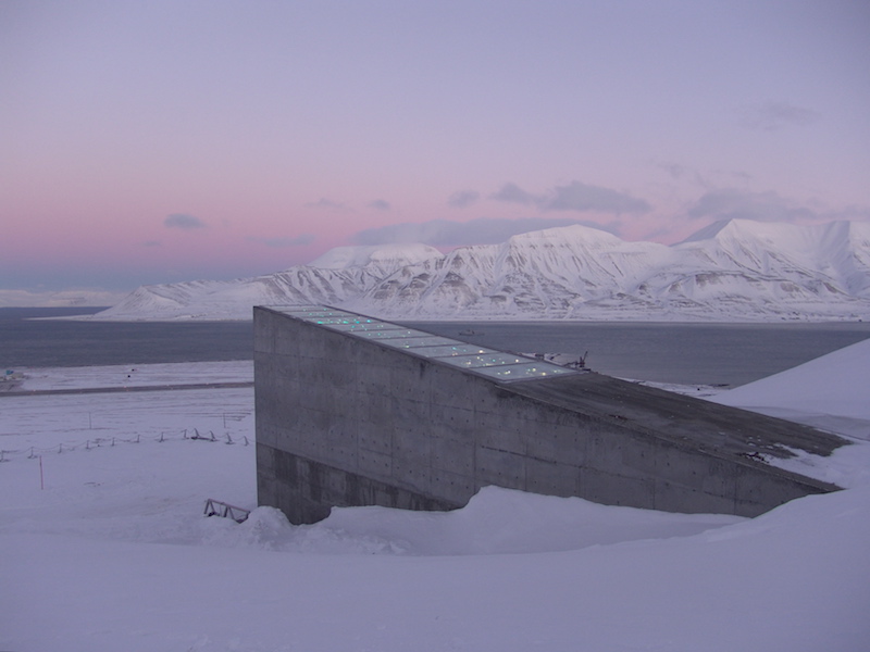 seed vault in svalbard