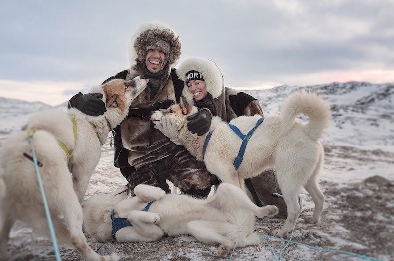 greenland travel guide husky dog sledding