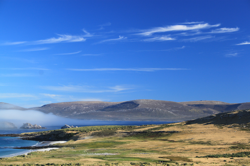 Carcass Island view - best hikes in the falklands