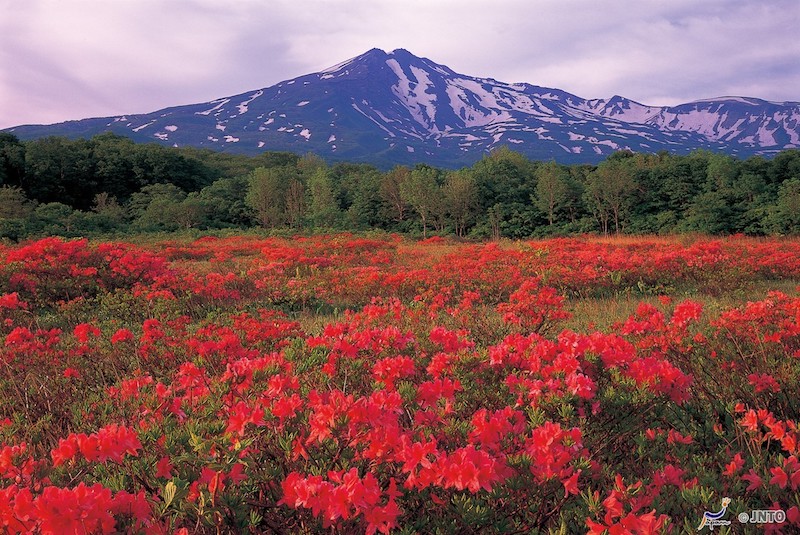 Mount Chokai Japan Wired For Adventure