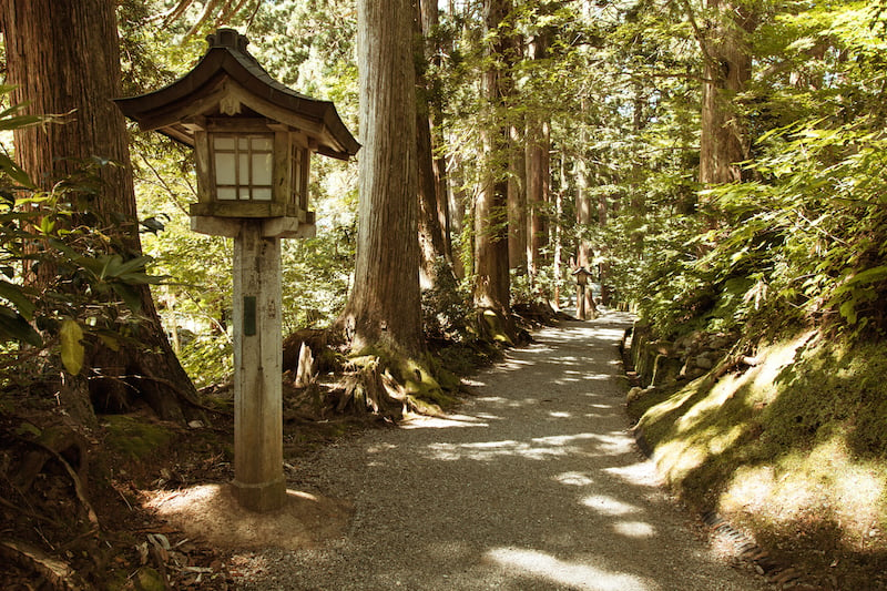 Shonai walking