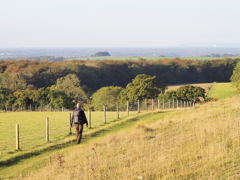 South Downs walking