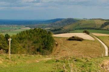 South Downs Way