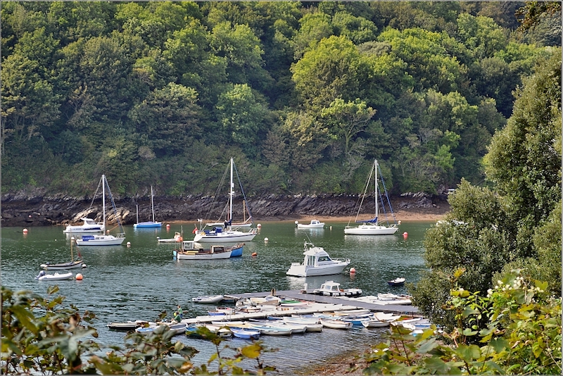 dart valley trail - best walks in devon