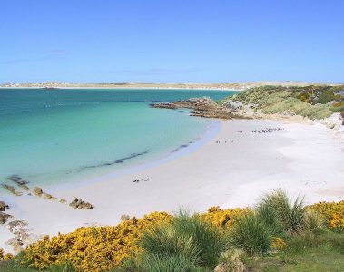 Gypsy Cove in the Falklands