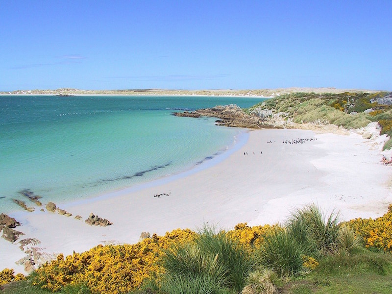 Gypsy Cove in the Falklands