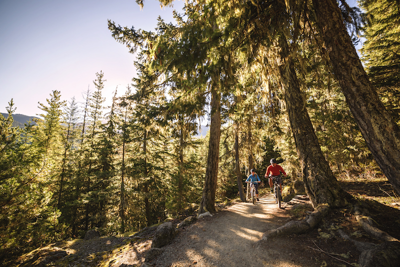 mountain biking best things to do in british columbia