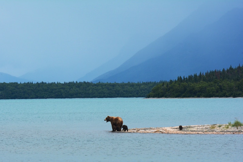 best adventures in the americas 