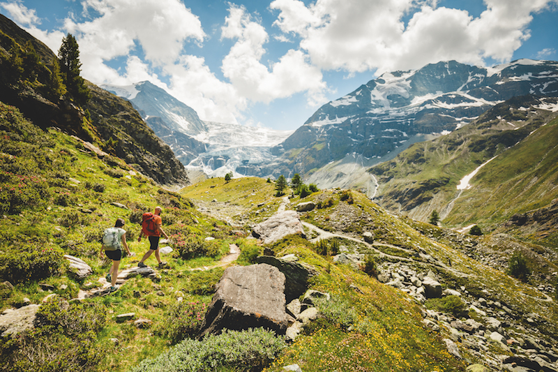 Walkers on the alpine passes trail with the Turtmann glacier in the distance
