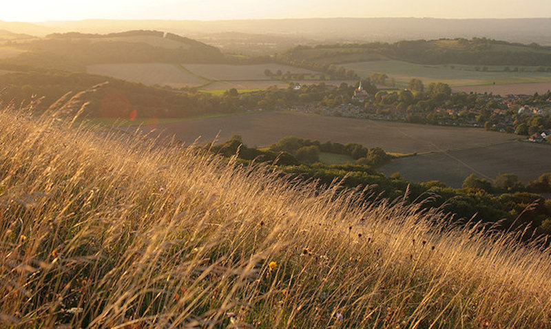 A sunset over Harting Down in the South Downs National Park