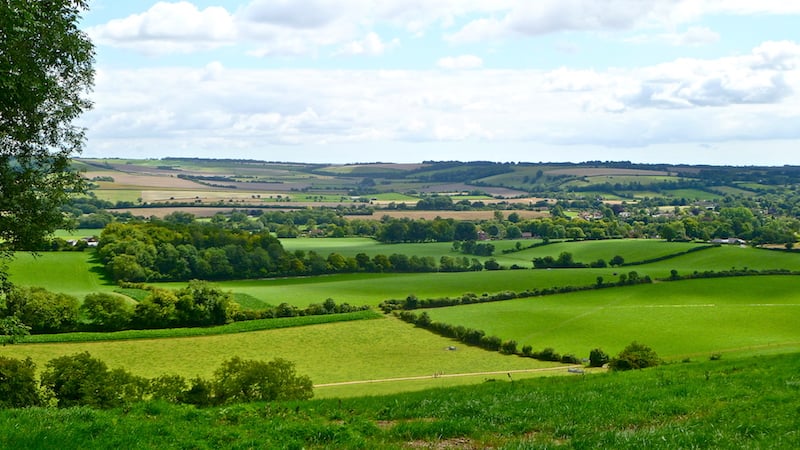 A view of Meon Valley on one of the best South Downs Walks