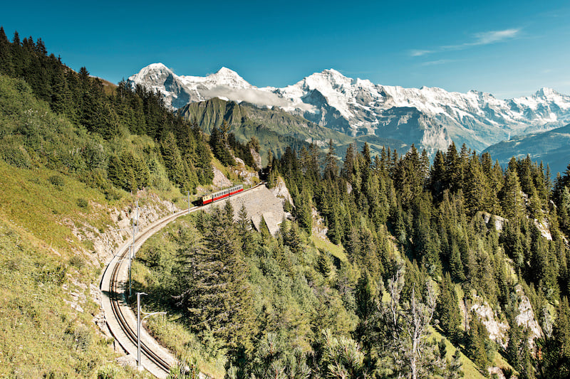 Cogwheel Railway, Mount Schynige Platte above Wilderswil, best hikes in Bernese Oberland.