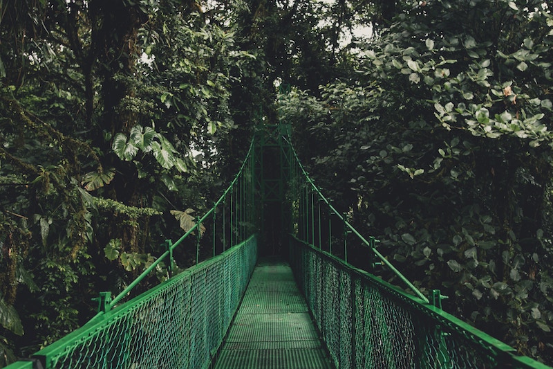 A suspension bridge in the costa rican cloud froest reserve, one of the best hiking destinations for winter sun