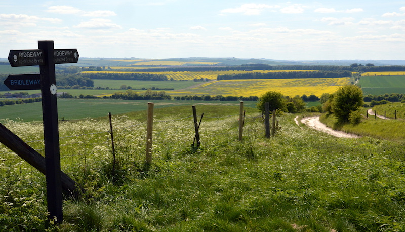 A waymark on the Ridgeway, Britain's oldest road