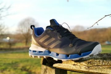 Adidas Terrex Fast GTX Surround shoes